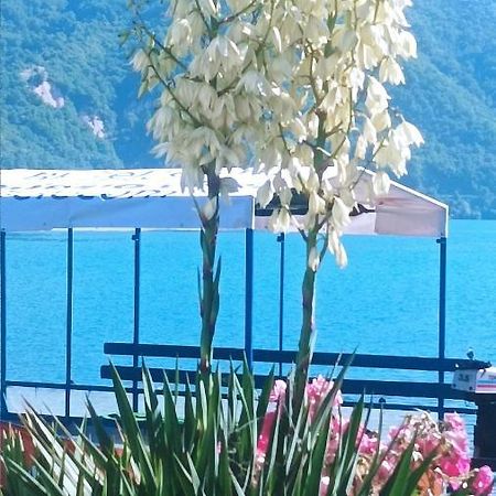Dina Apartman Jablanicko Jezero コニツ エクステリア 写真