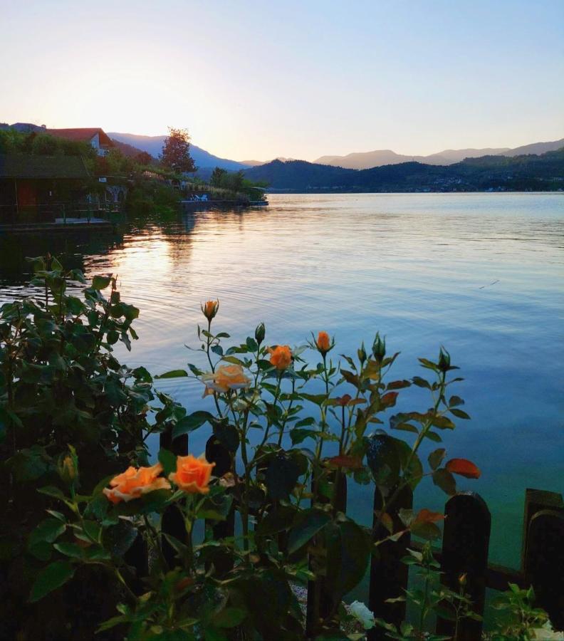 Dina Apartman Jablanicko Jezero コニツ エクステリア 写真
