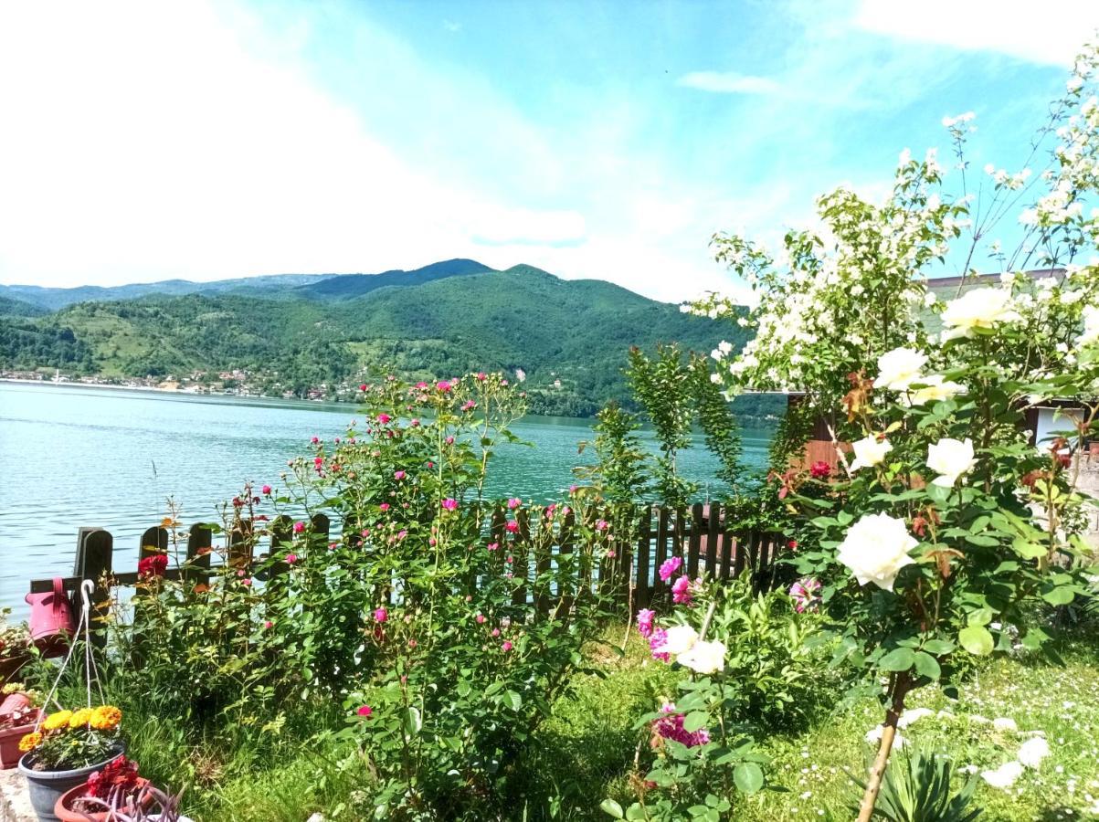 Dina Apartman Jablanicko Jezero コニツ エクステリア 写真