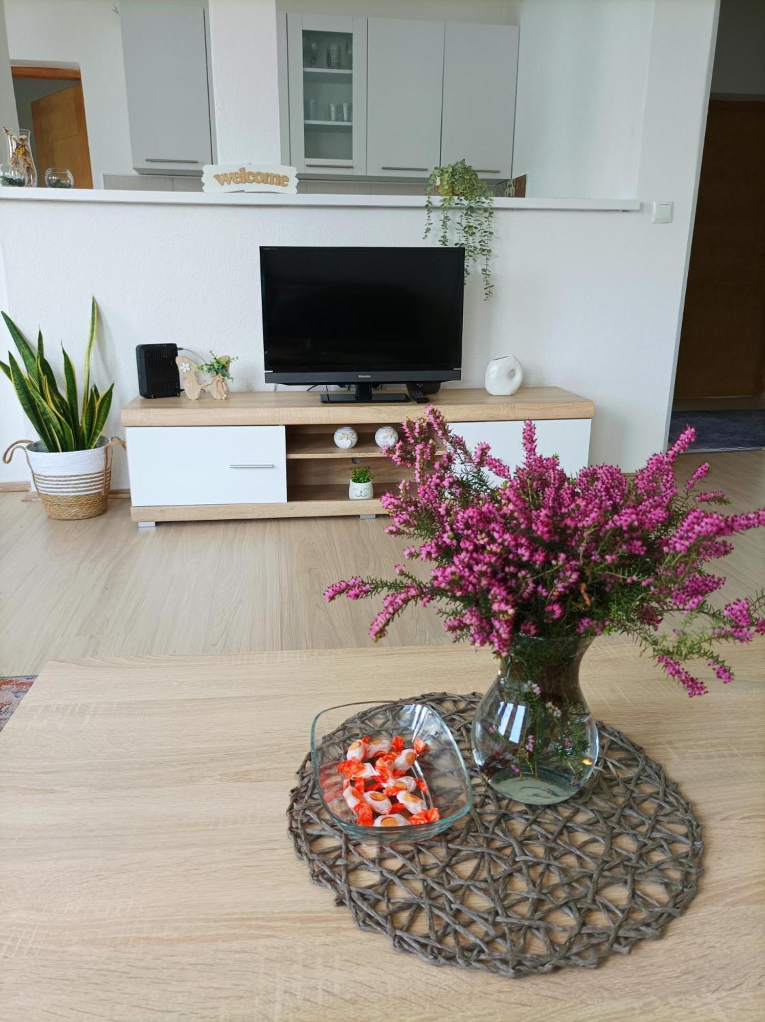Dina Apartman Jablanicko Jezero コニツ エクステリア 写真