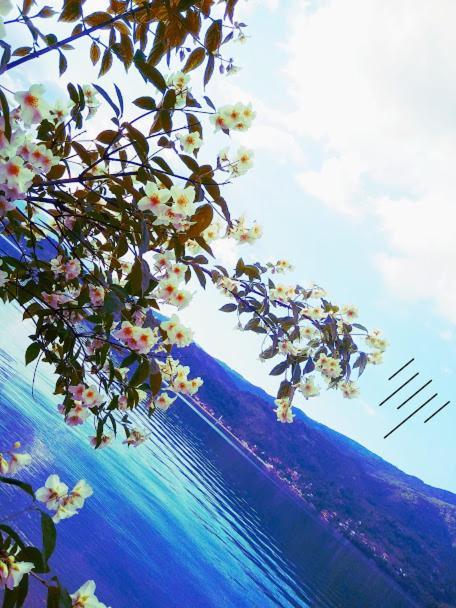Dina Apartman Jablanicko Jezero コニツ エクステリア 写真